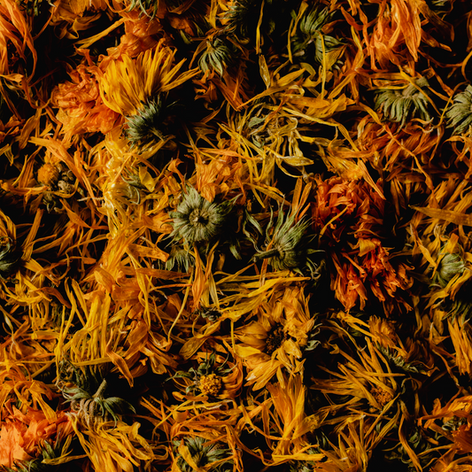 Calendula